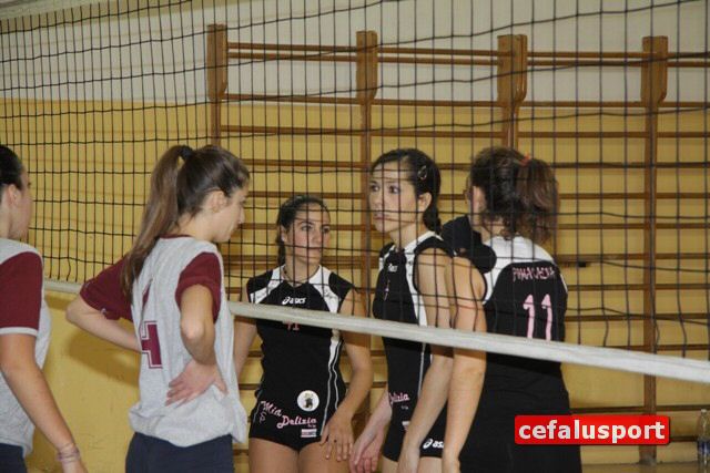 101120_Pomar 084y_tn.jpg
